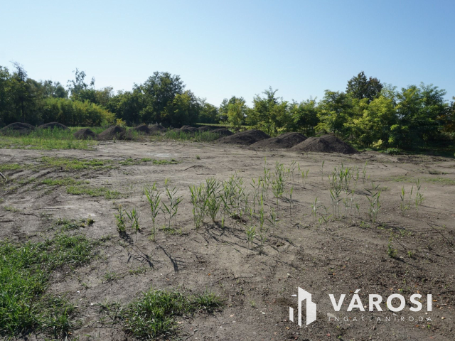 Építkezzen egy hórgásztó mellett!