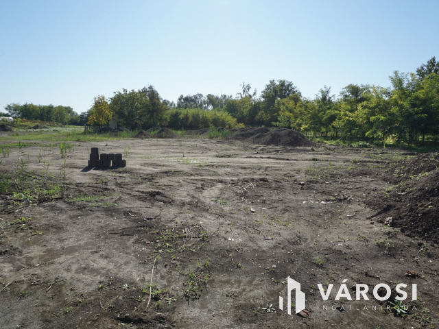 Építkezzen egy hórgásztó mellett!