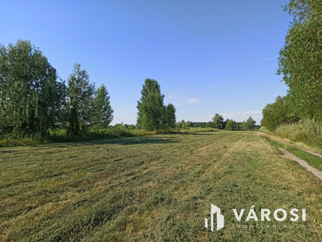 Turán 6060nm-es külterületi telek