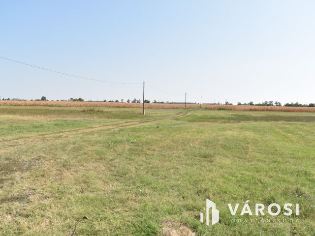 Minden egy helyen, egy igazi tanyán!