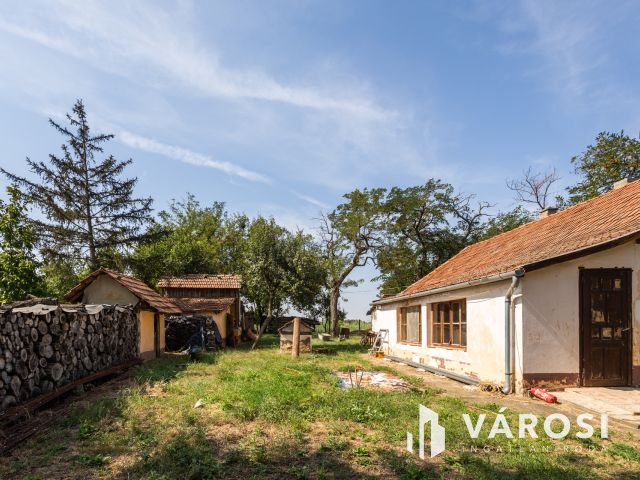 Tanya földdel vagy föld nélkül? Döntse el Ön!