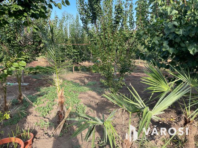 2 szobás családi ház Jaminában