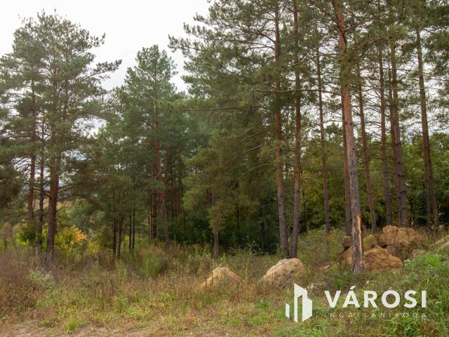 Belterületi építési telek Pilisborosjenőn a Malom dűlőben