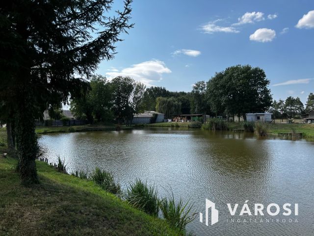 Simaság belterületi horgásztó,engedélyekkel6000m2 eladó!