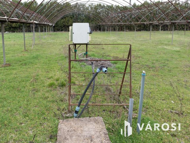 Bordányi kiskertek Eladók Fóliaházakkal