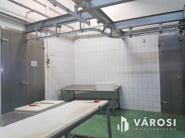 Vágóhíd és húsfeldolgozó üzem