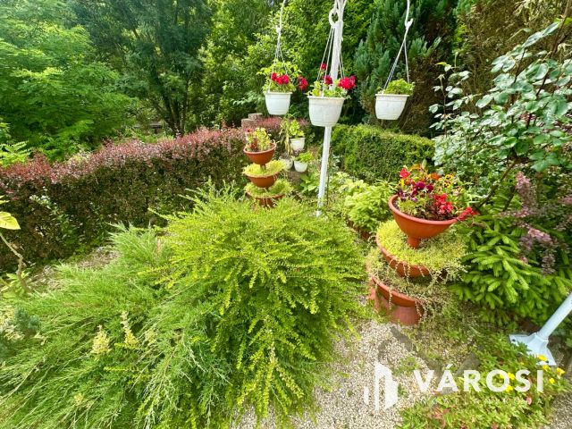 Karancsalja legjobb utcájában, 3 szintes családi ház eladó!