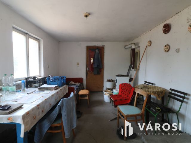 Sándorfalvi úton lévő tanya, közel 100 000 nm-en.