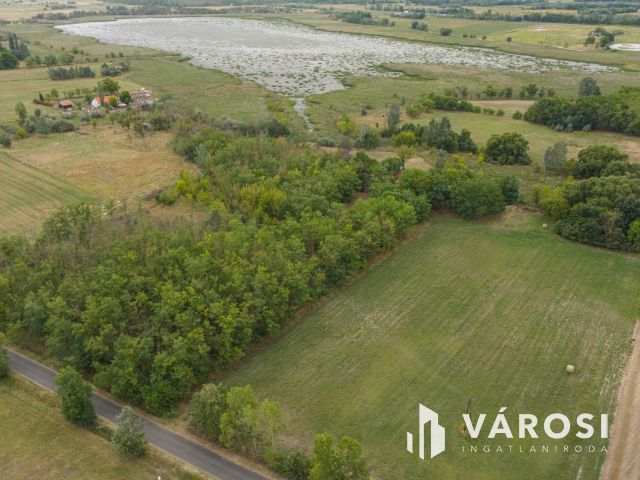 Teljesen felújított tanya nagy területtel és vízparttal