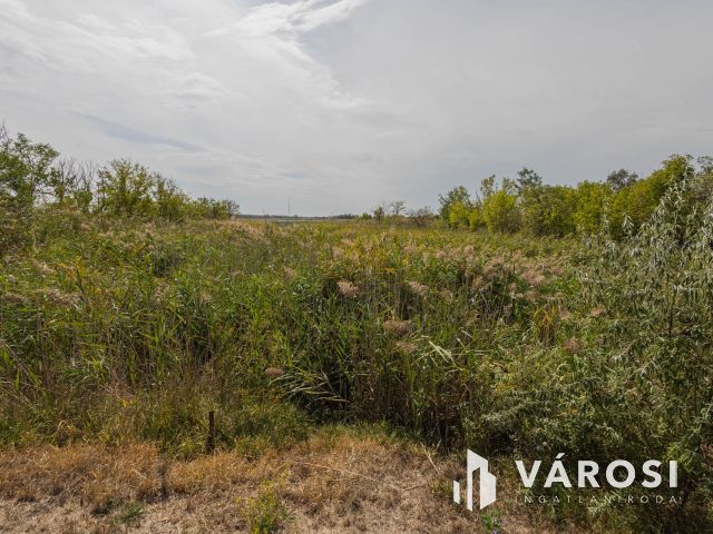 Teljesen felújított tanya nagy területtel és vízparttal