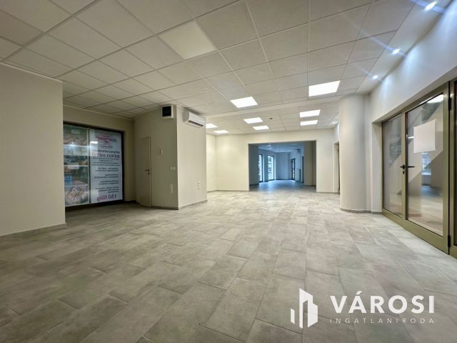Salgó Center földszintjén, utcai bejáratos üzlet kiadó!