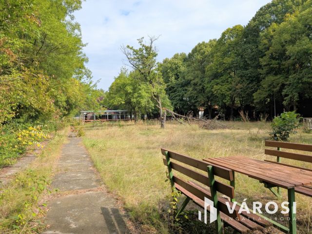 Nyaralókomplexum Szarvason-Kivételes Lehetőség a Vízparton!