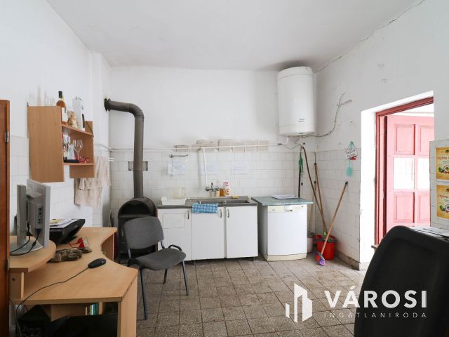 Eladó borászati ingatlan Csongrád közelében