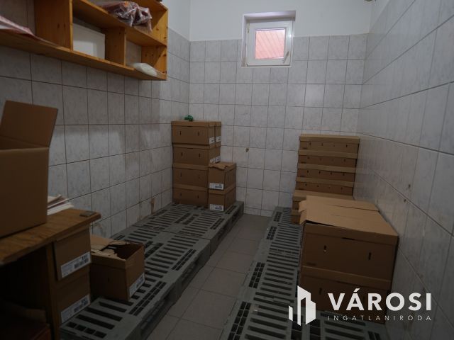 Jól működő vállalkozás eladó Bolttal és Telephellyel együtt!