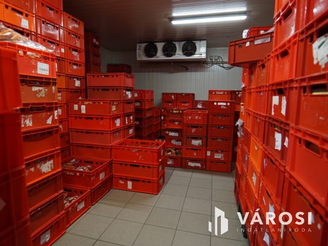 Jól működő vállalkozás eladó Bolttal és Telephellyel együtt!