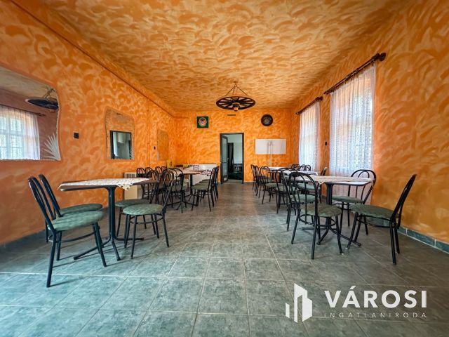 Főútvonal mellett, vállalkozásra alkalmas családi ház eladó!