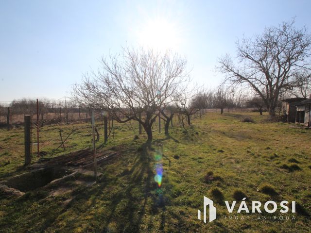 Ház a csend szigetén, Keléden