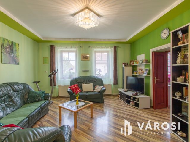 Csanaki családi ház eladó- kiváló adottságú telekkel