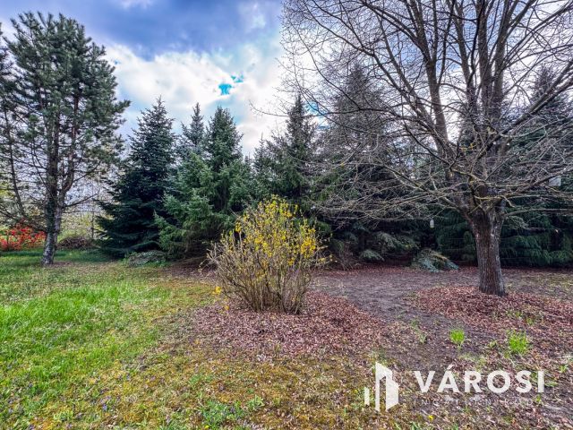 Két telek, egy nyaraló és sok-sok gyümölcsfa Szanazugban