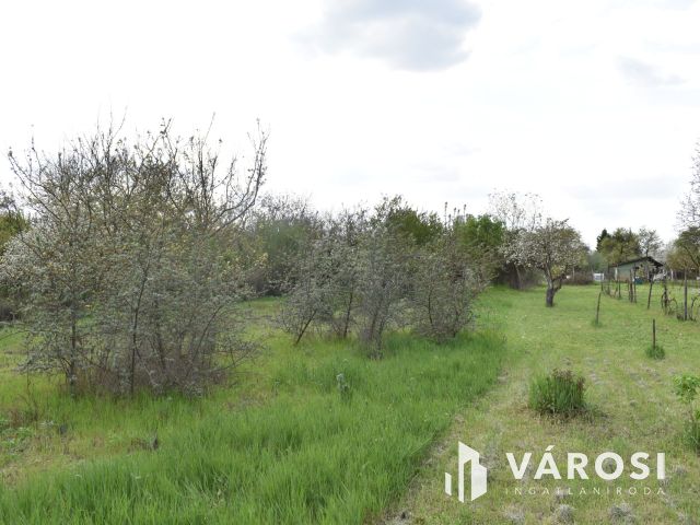 1179 m2 zártkert eladó Gyulán!