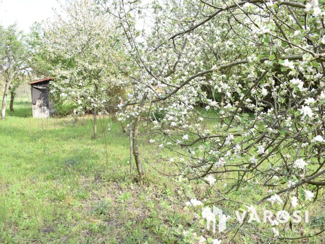 1179 m2 zártkert eladó Gyulán!