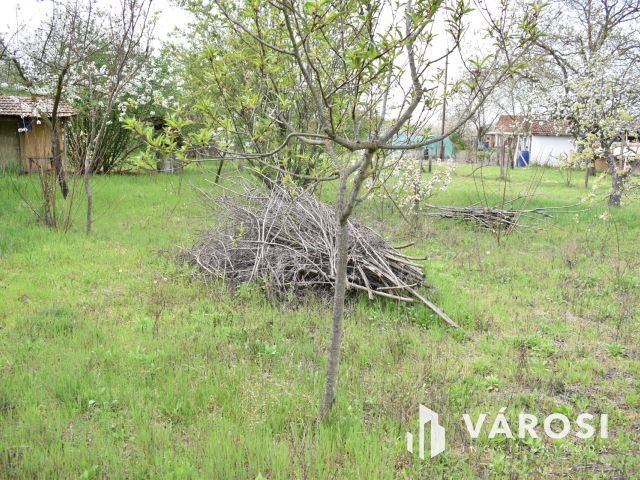 1179 m2 zártkert eladó Gyulán!