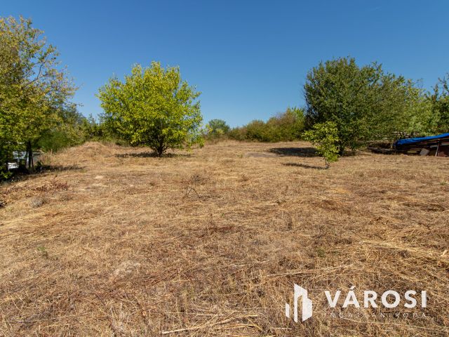 Ritka lehetőség Tinnyén – 859 m²-es telek